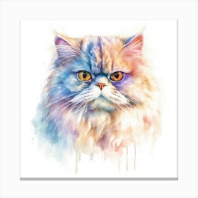 Persian Cat Portrait 1 Canvas Print