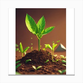 Tree Growing In The Dirt Canvas Print