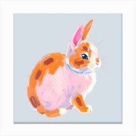 Netherland Dwarf Rabbit 04 Canvas Print