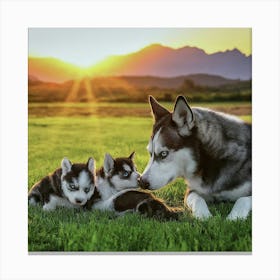 Husky Puppies Canvas Print