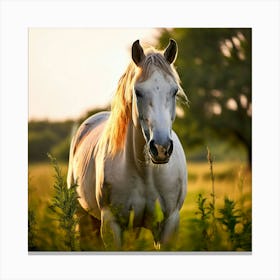 Grass Mane Head Graze Equestrian Pasture Elegant Sun Beauty Horse Standing Rural Green (5) Canvas Print