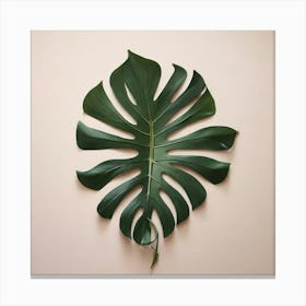 Aesthetic style, Large Monstera leaf 1 Canvas Print