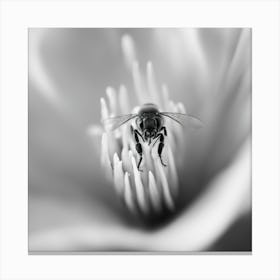 Bee On A Flower 3 Canvas Print