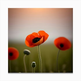 Poppy Field Canvas Print