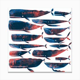 Printed Whales Canvas Print