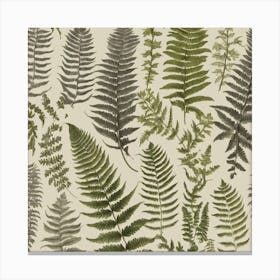 Ferns 2 Canvas Print