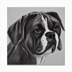 Boxer Dog Portrait Canvas Print