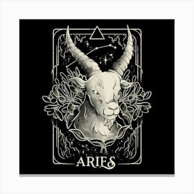 Aries 1 Canvas Print