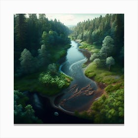 River In The Forest Canvas Print