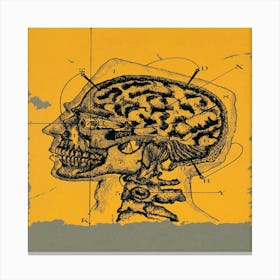 Brain And The Mind Canvas Print