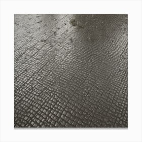 Rainy Day In Rome Canvas Print