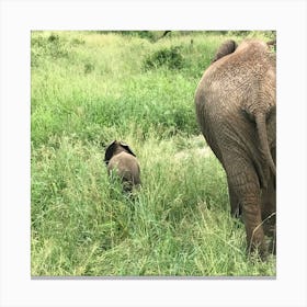 Elephants In The Wild Canvas Print