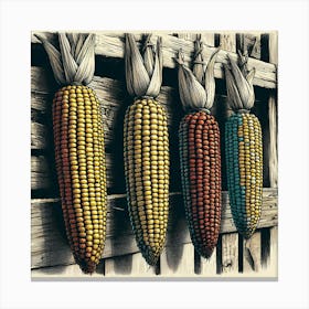 Corn cobs 5 Canvas Print