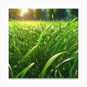 Green Grass 50 Canvas Print