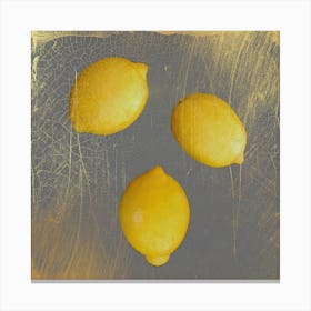 Lemons with gold , photography Canvas Print