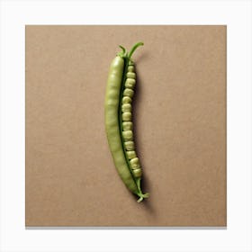 Legumes As A Logo (18) Canvas Print