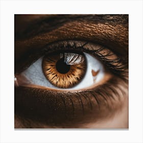 Brown Eye 2 Canvas Print