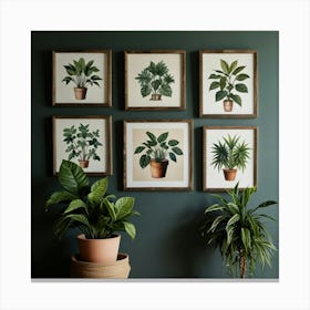 Framed Botanicals Canvas Print