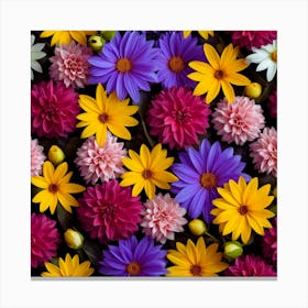 Colorful Dahlias 1 Canvas Print