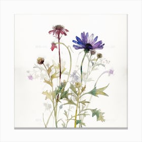 Wildflowers Canvas Print