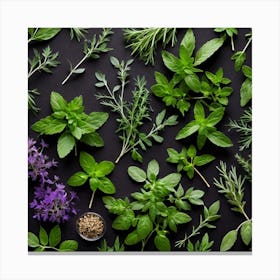 Fresh Herbs On Black Background 1 Canvas Print