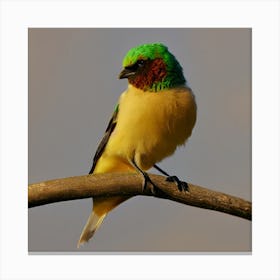 Bird Perched On A Branch 2 Canvas Print