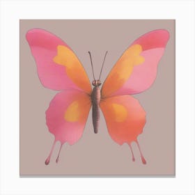 Pink Butterfly Canvas Print