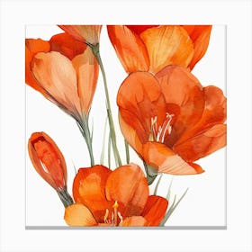 Crocus Watercolor Painting Canvas Print