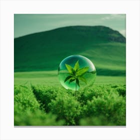 Green Plant In A Glass Ball Canvas Print