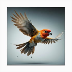 Bird In Flight 1 Canvas Print