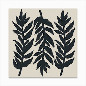 Fern Leaves Canvas Print