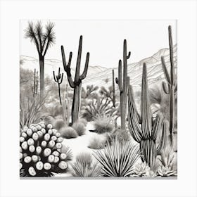 Cactus Desert Black and White Canvas Print