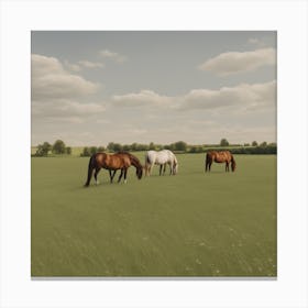 Horses In A Field 2 Canvas Print