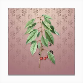 Vintage Wild Cherry Botanical on Dusty Pink Pattern n.0385 Canvas Print