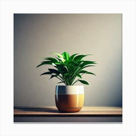 Plant In A Pot Canvas Print