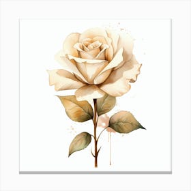 Watercolor Rose 1 Canvas Print