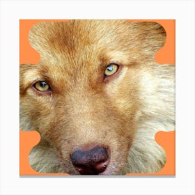 Wolf Dog Canvas Print