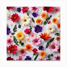 Flowers On A White Background Canvas Print