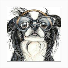 Chihuahua 37 Canvas Print