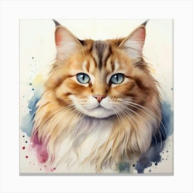 Coon Cat Watercolor Painting Canvas Print