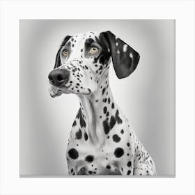 Dalmatian 1 Canvas Print