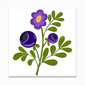 Blueberry Flower Canvas Print