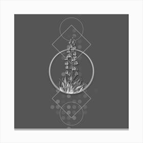 Vintage Persian Lily Botanical with Line Motif and Dot Pattern in Ghost Gray n.0171 Canvas Print