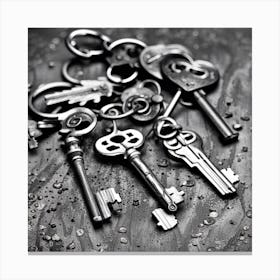 Black And White Keys 1 Canvas Print