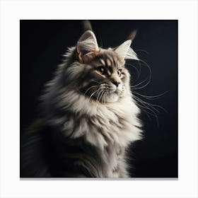Portrait Of A Coon Cat 2 Canvas Print