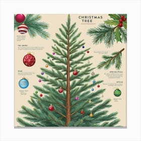 Christmas Tree Vintage Botanical Style With Ornaments 3 Canvas Print