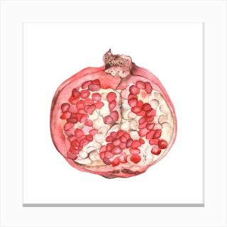 Pomegranate Square Canvas Print