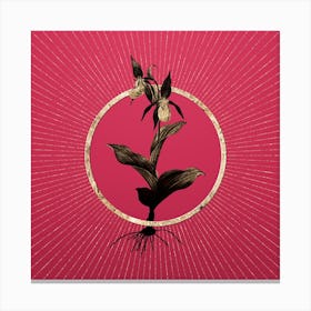 Gold Lady's Slipper Orchid Glitter Ring Botanical Art on Viva Magenta n.0026 Canvas Print