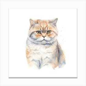 Scottish Fold Shorthair Cat Portrait 3 Canvas Print