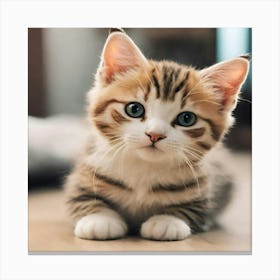 Cute Kitten 5 Canvas Print